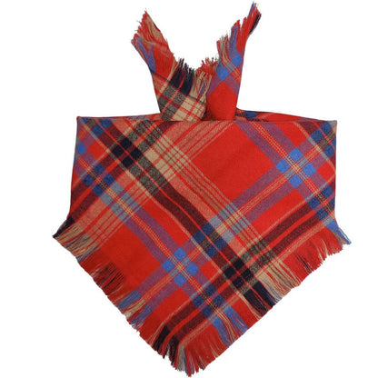 Pet Tassel Saliva Towel
